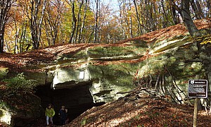 Kleine Höhle in einem Laubwald