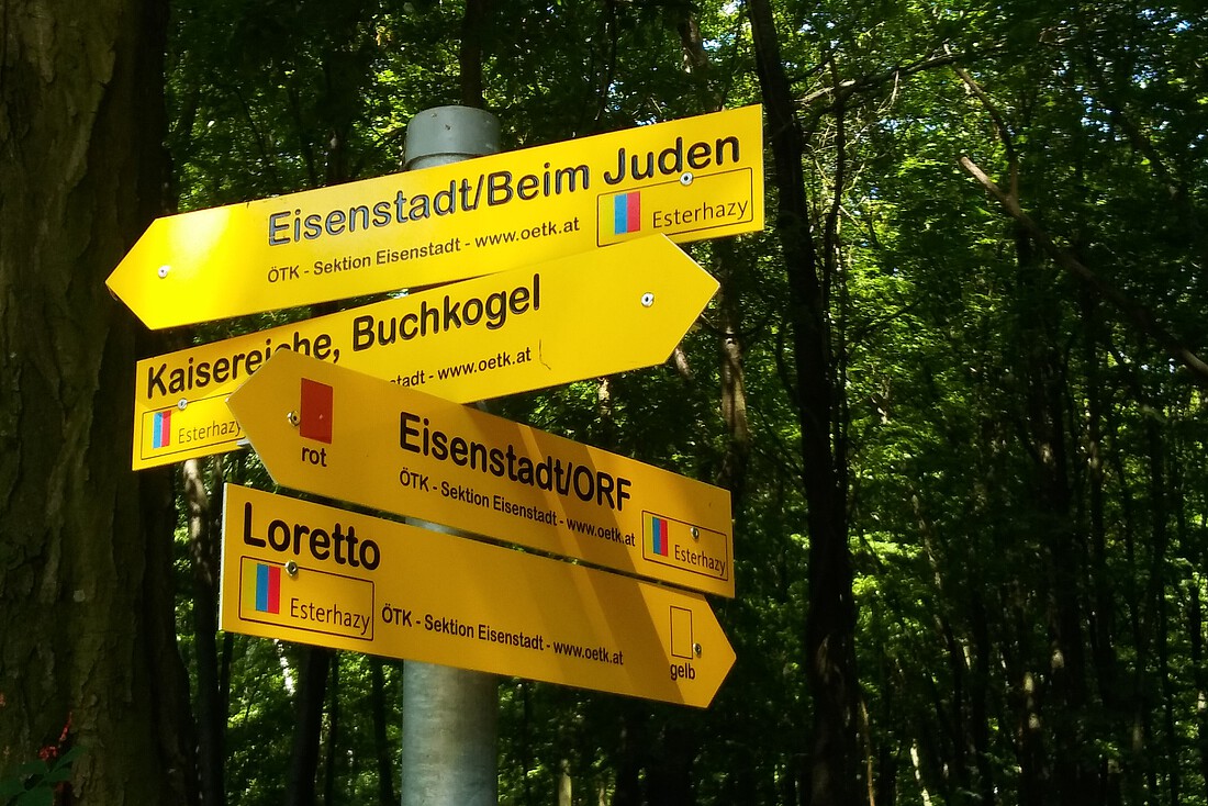 Wegweiser mit vier Schildern Wanderwege im Leithagebirge